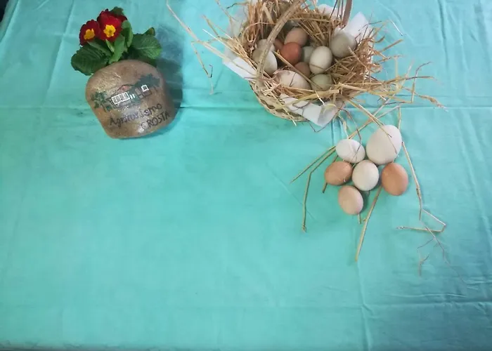 Agriturismo Crosta 农家乐